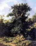 Старый дуб. 1859